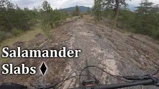 Salamander Slabs - Predator Ridge
