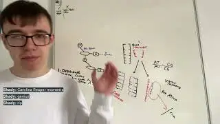 Day 5 Biology AS Revision