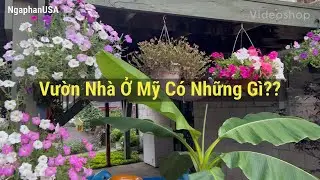 Kh&aacute;m Ph&aacute; Khu Vườn Xinh Ở Mỹ | Hoa &Rau Vườn Nh&agrave; | My Garden is so Beautiful