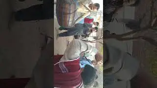 dhool bhangra