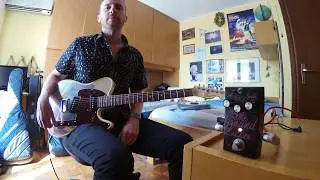 ZED The Ground Licker Fuzz by Stefano Re Alt. Takes #3