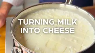 Making Cheese Curds at home | EASY | Adam Byatt