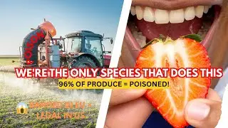 Are Pesticides Hiding in Your Food?