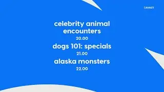Animal Planet HD Europe - Continuity (March 8, 2025)