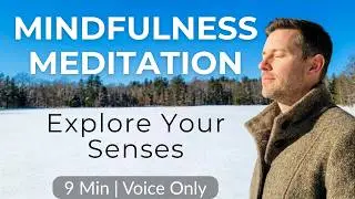9-Minute Mindfulness Meditation to Awaken the Senses | Inclusive, Gentle, Guided Practice