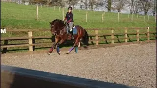 E-Riders Dressage, Odd Socks November 2023. Gemma Somers riding Foveo. Prelim 2b.