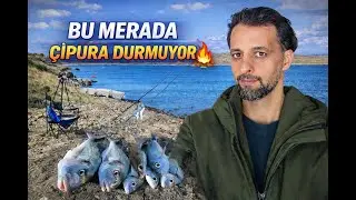 Bu Merada Çipura Durmuyor! Kıyıdan Efsane Av!