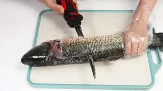 Fast & Effortless Filleting: Watch VLOXO Cordless Electric Fillet Knife in Action!