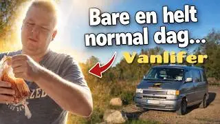 En helt normal dag som fuldtids vanlifer i Danmark