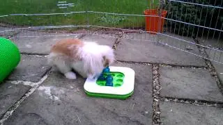 HTC Titan Windows Phone 720p HD video sample