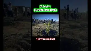 Operation Green Algeria #shorts