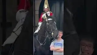Unspoken Friendship: Child and Horse Share Tender Moment