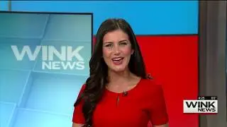 Naples Winter Wine Festival on WINK News - Meet the Kids Day