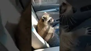First person POV fr n passager