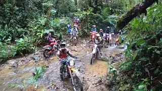 Enduro Tulipe 2025