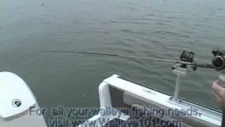 OffShore Tackle Tadpole Video Clip