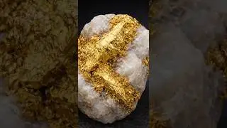 Became rich because you found gold stuck in a rock #Quartz #treasurehunt #treasure #gold #discovery
