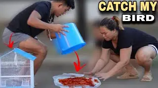GRAB MY PIGEON 