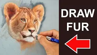 The Secret to Drawing REAL Looking fur with Pastels - Jason Morgan