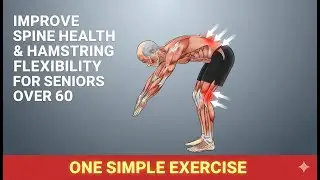 Knee-to-Toe Bends &ndash; Gentle Daily Practice for Spine Health & Flexibility After 60