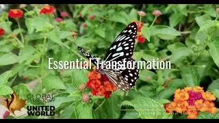 Essential Transformation