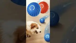 Best Smart Dog Toy Ball &ndash; Electronic Interactive Moving Ball for Pets | Automatic Bouncing USB Toy