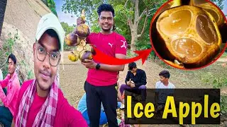 &bull;Gaw ka Desi Tarkul&bull; |ICE APPLE|🌴🌴|Jharkhand,Koderma|