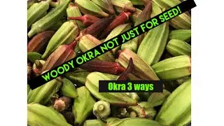 3 Different Ways to Save Okra