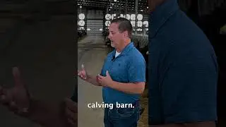 Fresh Cow Solution at Woldt Family Farms with Pauly Paul | Dairy Innovation | Dairy Industry