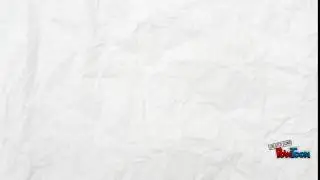 Animation Branding Intro