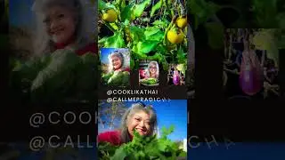 0 0 Plant Vegetables #cooklikeathaimadesimple #thaikitchen #recipe #tomyum
