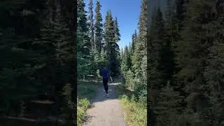 What is the most important when #Hiking? You are right, hiking jokes 😹 #shorts