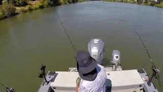How I Troll Spinners - Salmon Fishing Sacramento River
