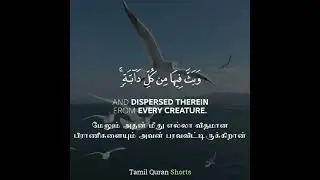 Surah Luqman | சூரா லுக்மான் | 10 | Quran Tamil | Tamil Quran Shorts#shorts