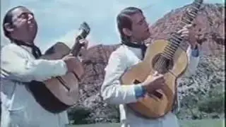 Zamba 