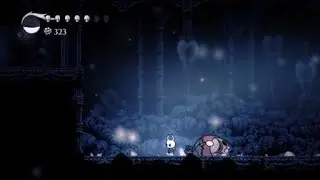 Hollow Knight - Soul Master