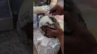 🔒 Coating Process &ndash; Seal the Knot of Hair Roots #humanhairfactory #toupeefactory #realhairwig