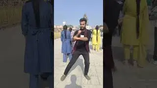 Kung fu master