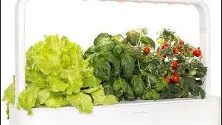 Smart Garden 9 Click and Grow REVIEW