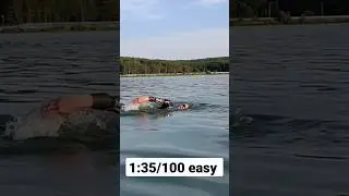 pływanie w wodach otwartych. tempo 1:35/100 easy. #pływanie #kraul #openwater #openwaterswimming