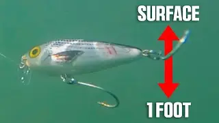 How to Retrieve the Wake Mullet (New Lure for Easy Results)