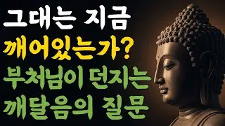 당신은 지금 깨어 있는가? 부처님이 묻는 단 하나의 질문 | 부처님 말씀 | 마음숲걷기