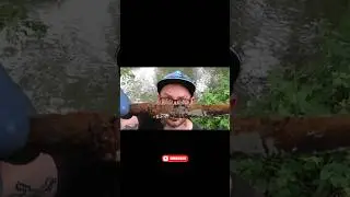 River Goodies | Magnet Fishing #magnetfishing #magnetfischen #fishing #treasure #metaldetecting #fy