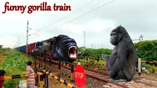 funny gorilla train - train - Indian railways - train ka video - gorilla ka video -Malgadi train