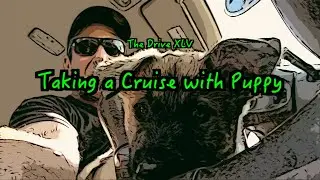 The Drive XLV - Taking a Cruise with Puppy