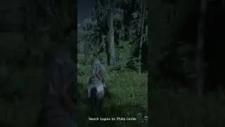 Falling is just normal Red Dead 2#reddeadredemption