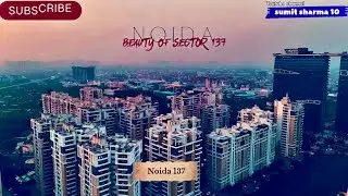 The Rise and Fall of Noida Sector 137 #noida  #noidacity  #jewarairport  #delhincr  #trending