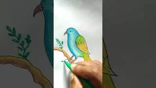 How to draw Bird with oil pastel colors #Shorts