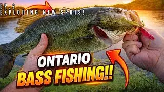 BIG LARGEMOUTH BASS Fishing a New Spot in Ontario! (Shore Fishing For Bass!!)