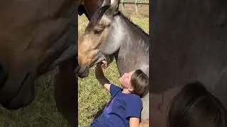 Good horsemanship is about relationship and time with your horse. #reels #wow #fyp #horseriding